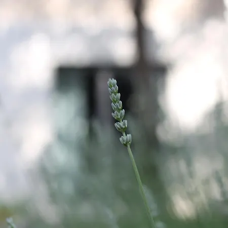 Valsabbion Pula