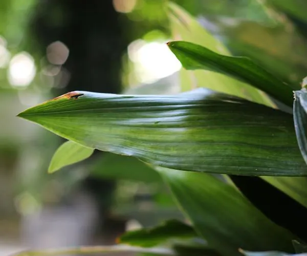 Valsabbion Apartamento *